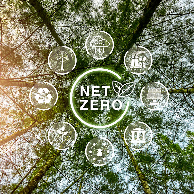 floor plans for evaluation the SAP process for SAP Calculations
