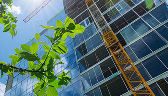 Sustainability Reporting