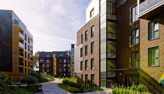 Sustainability Reporting